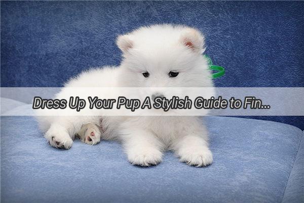 Dress Up Your Pup A Stylish Guide to Finding the Perfect Doggy Outfits